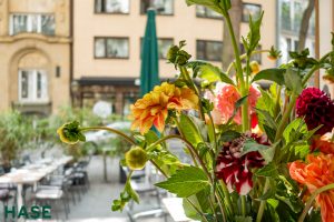 Sommerblumen am Eingang