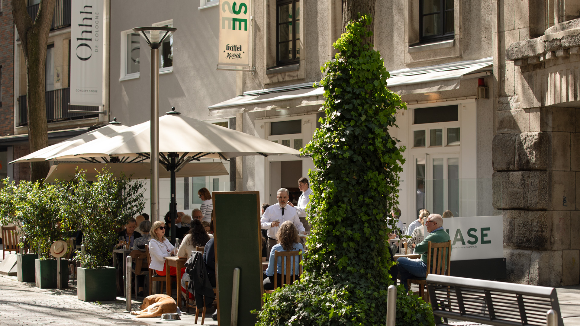 Außenbereich des HASE Restaurants in Köln bei Sonnenschein – Gäste genießen Speisen und Gespräche unter Sonnenschirmen